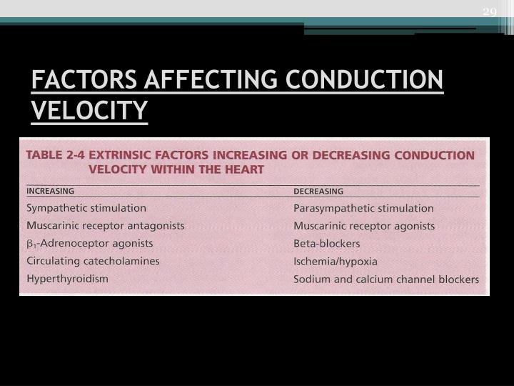 Factors affecting terminal velocity