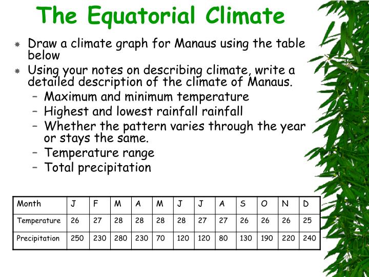 ppt-the-equatorial-rainforest-powerpoint-presentation-id-927354