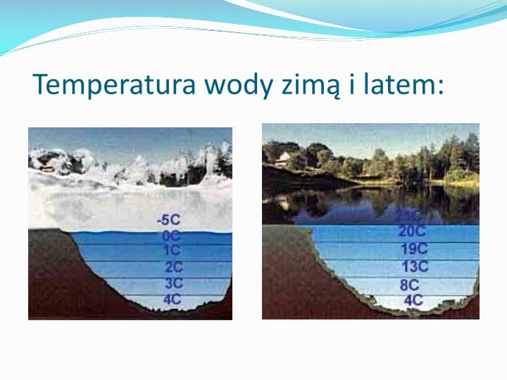 Jak Zmienia Się Temperatura Wody W Jeziorze W Ciągu Roku PPT - „ZNACZENIE GĘSTOŚCI WODY I LODU W PRZYRODZIE’’ PowerPoint