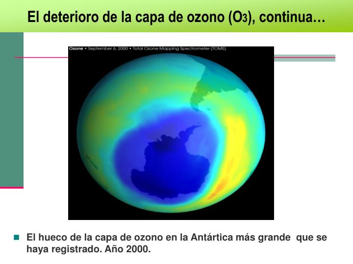 El embarazo el pequeño plazo los granos sobre la persona