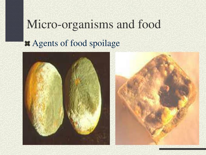 agents of spoilage Start studying ch 11 micro practice _____ pasteurization is a technique in which heat is applied to liquids to kill potential agents of infection and spoilage. agents of spoilage Start studying ch 11 micro practice _____ pasteurization is a technique in which heat is applied to liquids to kill potential agents of infection and spoilage.