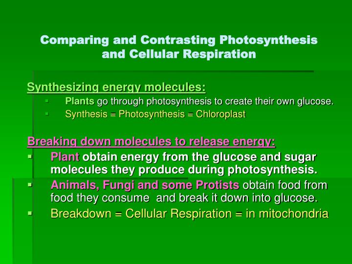compare contrast photosynthesis cellular respiration essay compare contrast photosynthesis cellular respiration essay