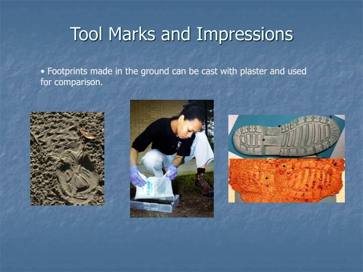 impression evidence examples impression evidence examples