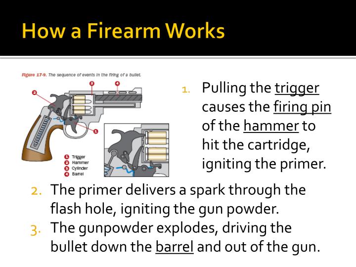 ppt ballistics powerpoint presentation id 1002695 how a firearm works