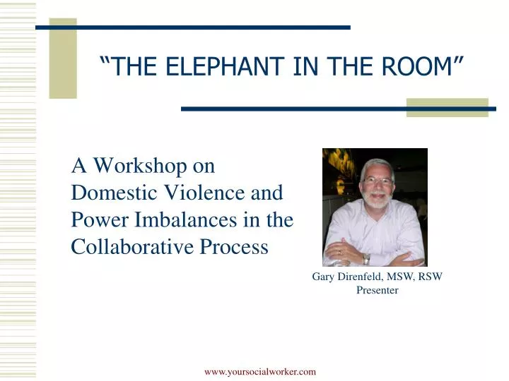 the elephant in the room n.