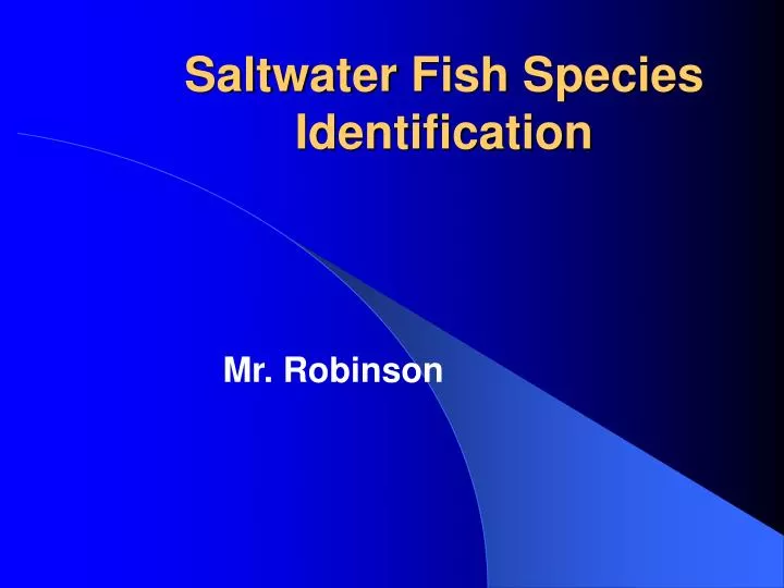 PPT Saltwater Fish Species Identification PowerPoint Presentation
