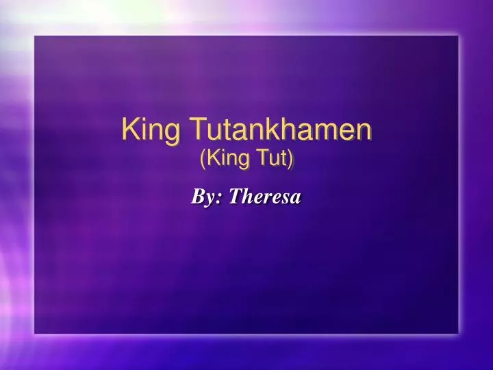 king tutankhamen king tut n.