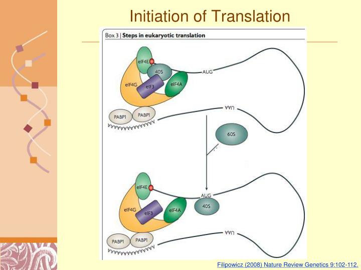 Nature of translation