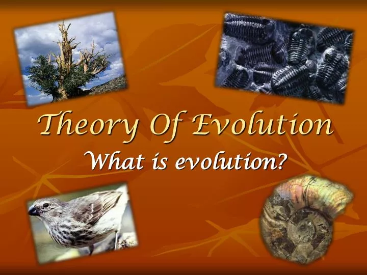 presentation topics on evolution