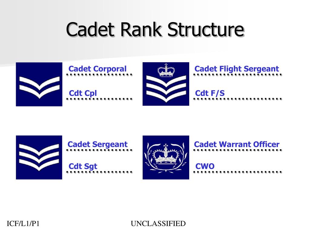 PPT The Air Training Corps PowerPoint Presentation Free Download 