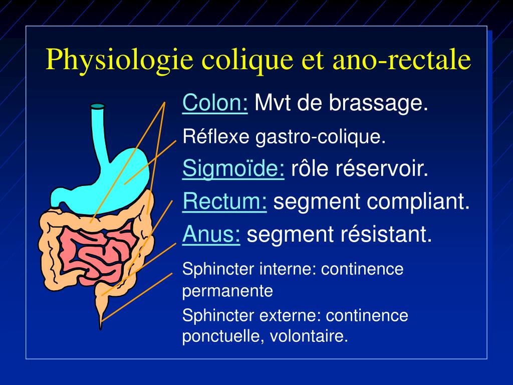 PPT - Physiologie colique et ano-rectale PowerPoint Presentation, free  download - ID:1009687
