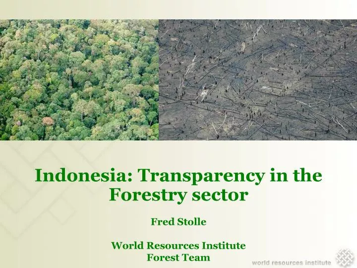 indonesia transparency in the forestry sector fred stolle world resources institute forest team n.