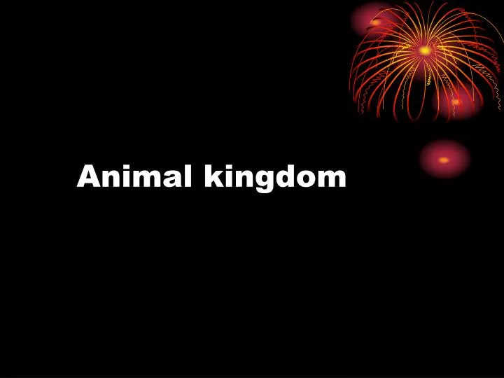 animal kingdom n.