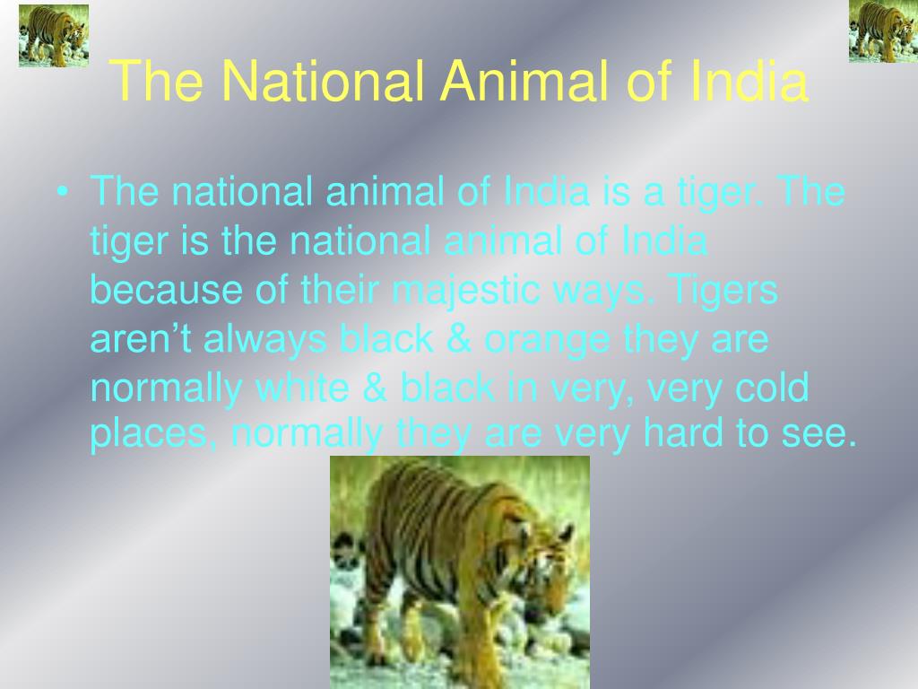 PPT - Indian Wildlife PowerPoint Presentation, free download - ID:101363