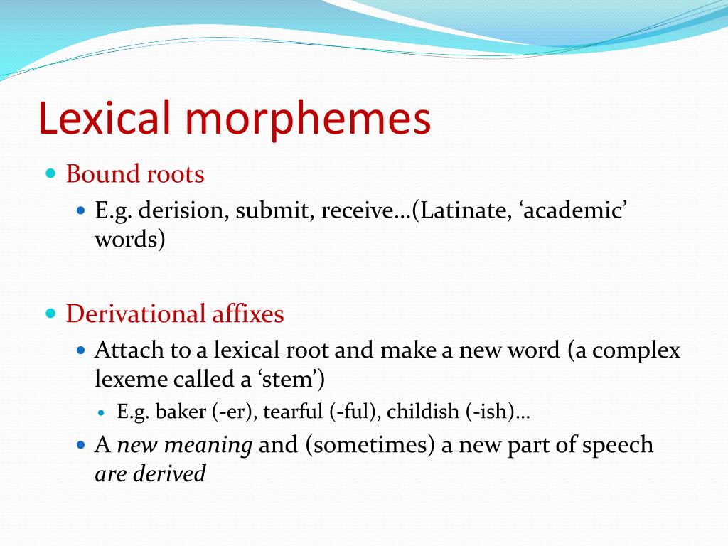 Ppt Morphology Powerpoint Presentation Free Download Id 1014423