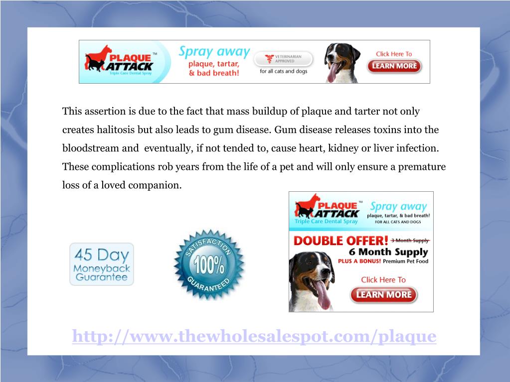 Dog dental best sale spray plaque attack