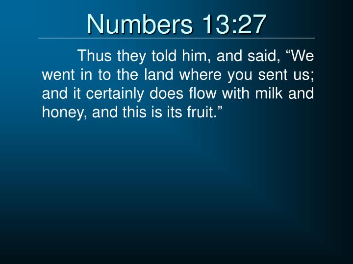 PPT - The Failure at Kadesh Numbers 11-14 PowerPoint Presentation - ID ...