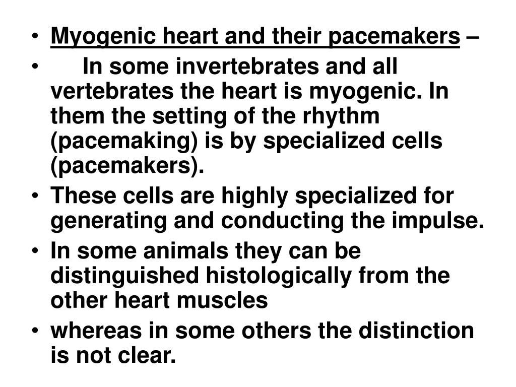 myogenic heart beat