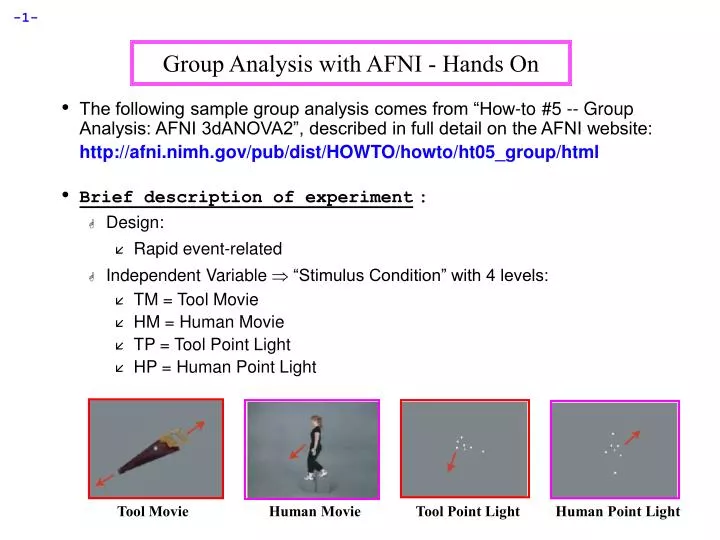 group analysis with afni hands on n.