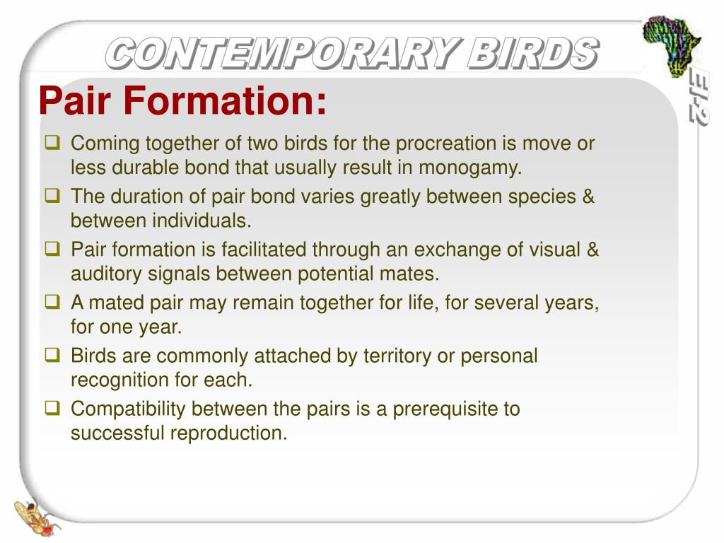 Ppt Contemporary Birds Why Are They So Tuneful And Colorful