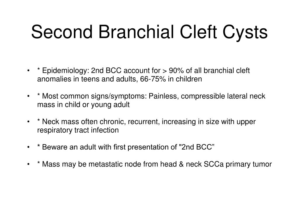 branchial cleft cyst in adults
