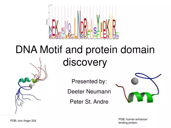 dna binding protein motifs