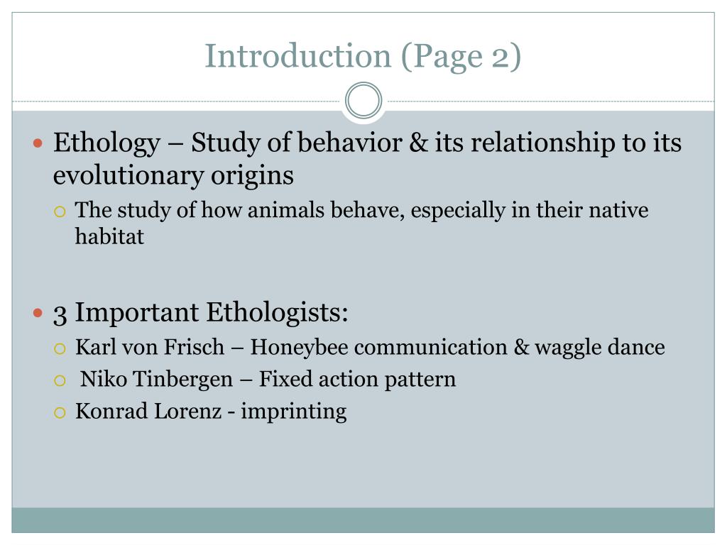 dissertation ideas animal behaviour