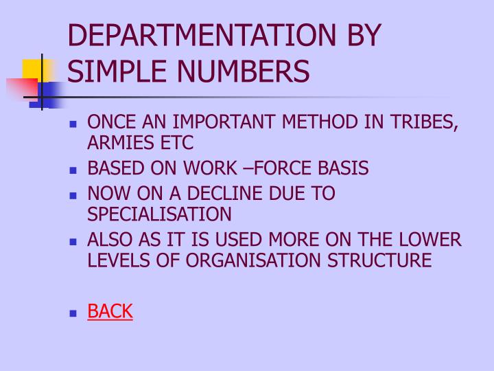 forms of departmentation