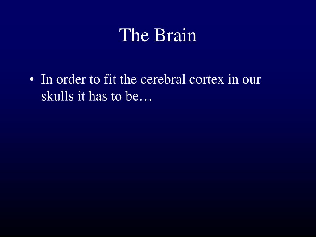 PPT - Brain Structures & Functions PowerPoint Presentation, free ...