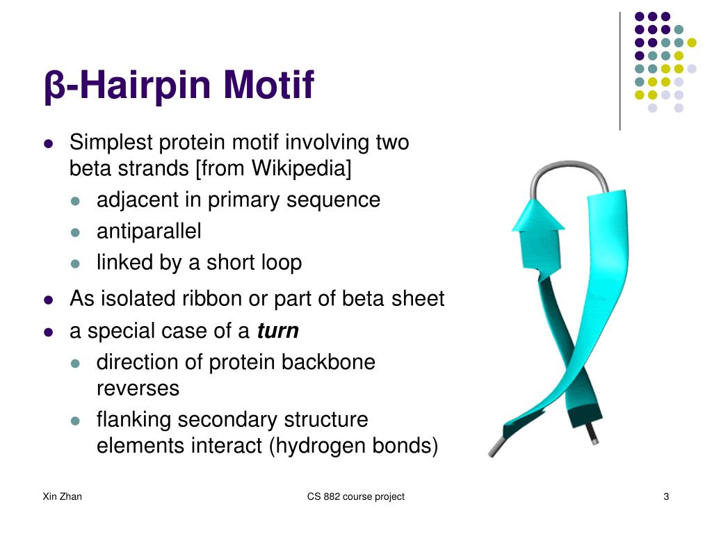 b hairpin