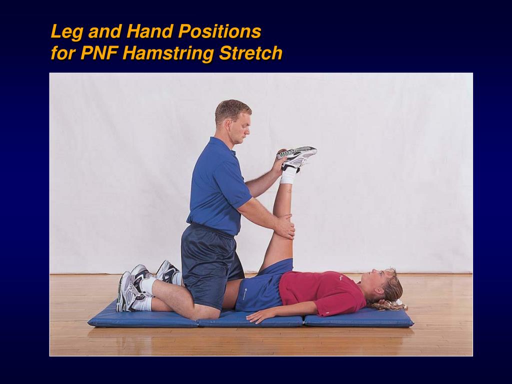 PPT C H A P T E R PowerPoint Presentation Free Download ID 1032996 PPT C H A P T E R PowerPoint Presentation Free Download ID 1032996