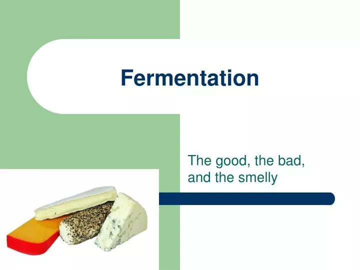 PPT - Fermentation N