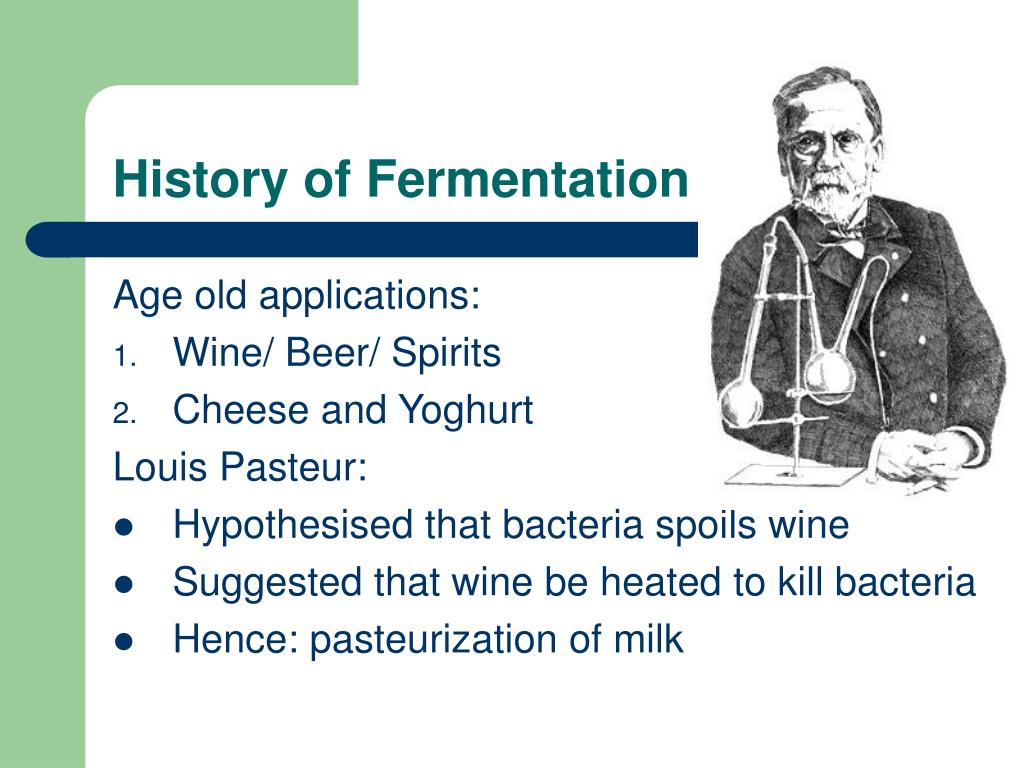 PPT - History Of Fermentation L