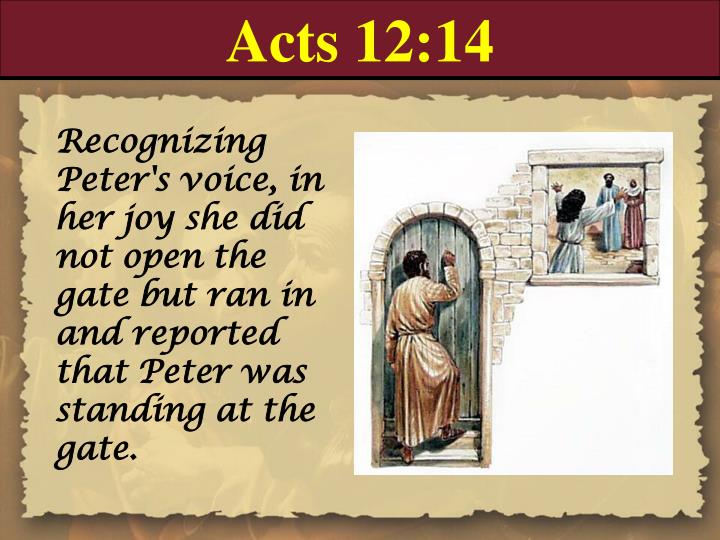 PPT - Book of Acts Chapter 12 PowerPoint Presentation - ID:1033329