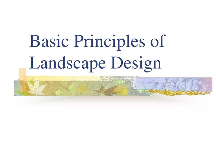 Basic Principles Of Landscape Design, What Are The Principles Of Landscape