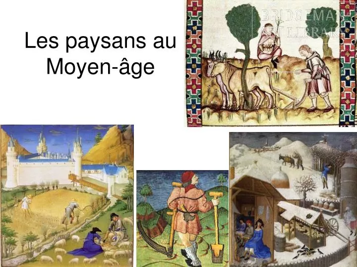 La Vie Des Paysans Au Moyen Age Cm1