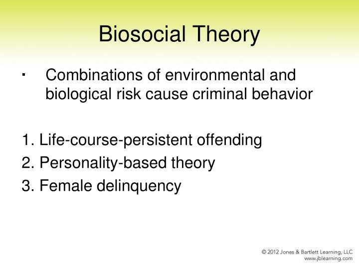 causes of criminal behavior causes of criminal behavior
