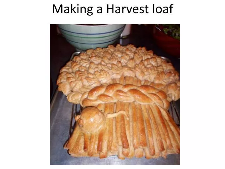 making a harvest loaf n.