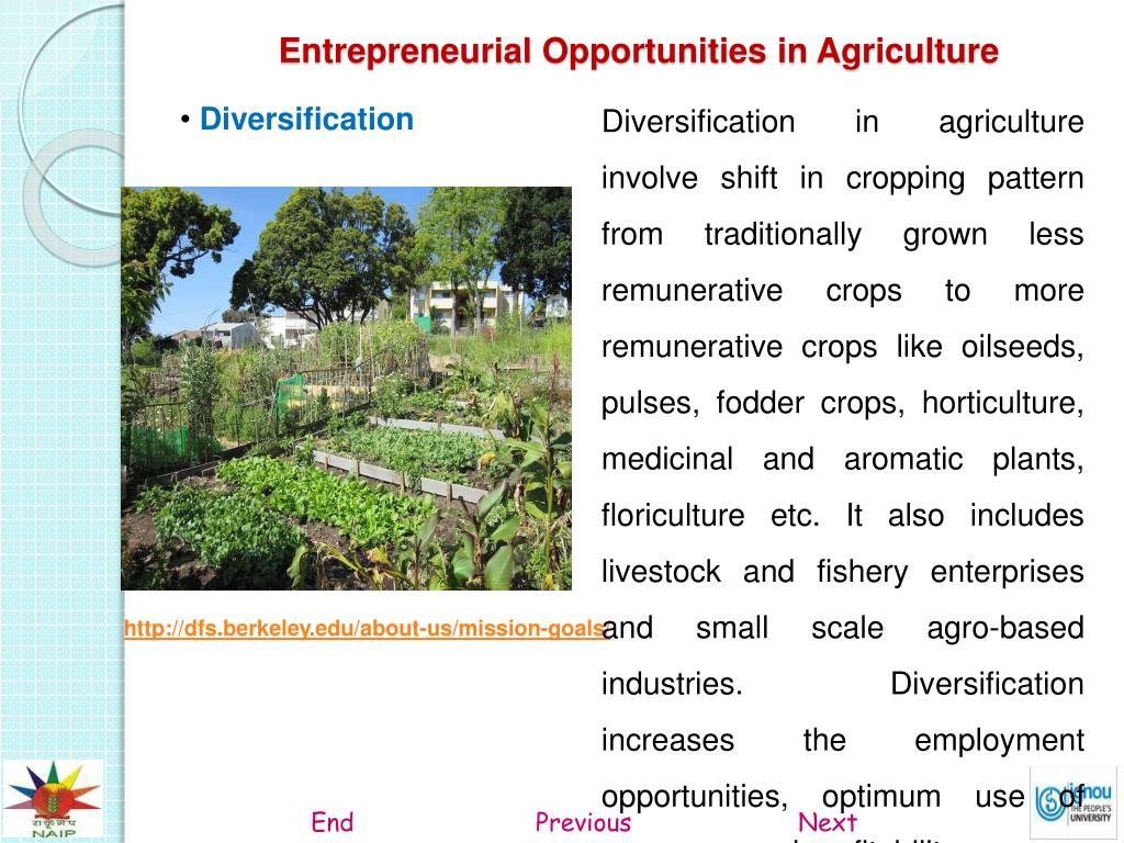 case study related to agricultural entrepreneurship