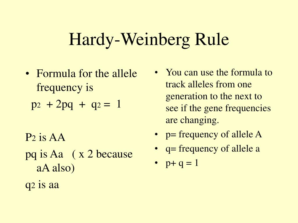 Уравнение харди вайнберга. Формула Харди Вайнберга. Харди Вейнберг задачи по биологии промежуточный результат. Харди Вайнберга картинки на презентацию. Харди Вайнберг задача с пушистая кошка.
