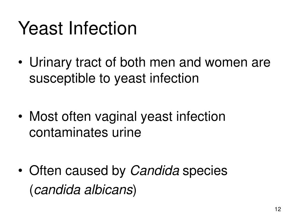 PPT CLS 426 Urine & Body Fluid Analysis Renal Disease Part III Interstitial & Vascular