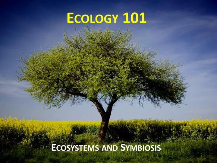 ecology 101 n.