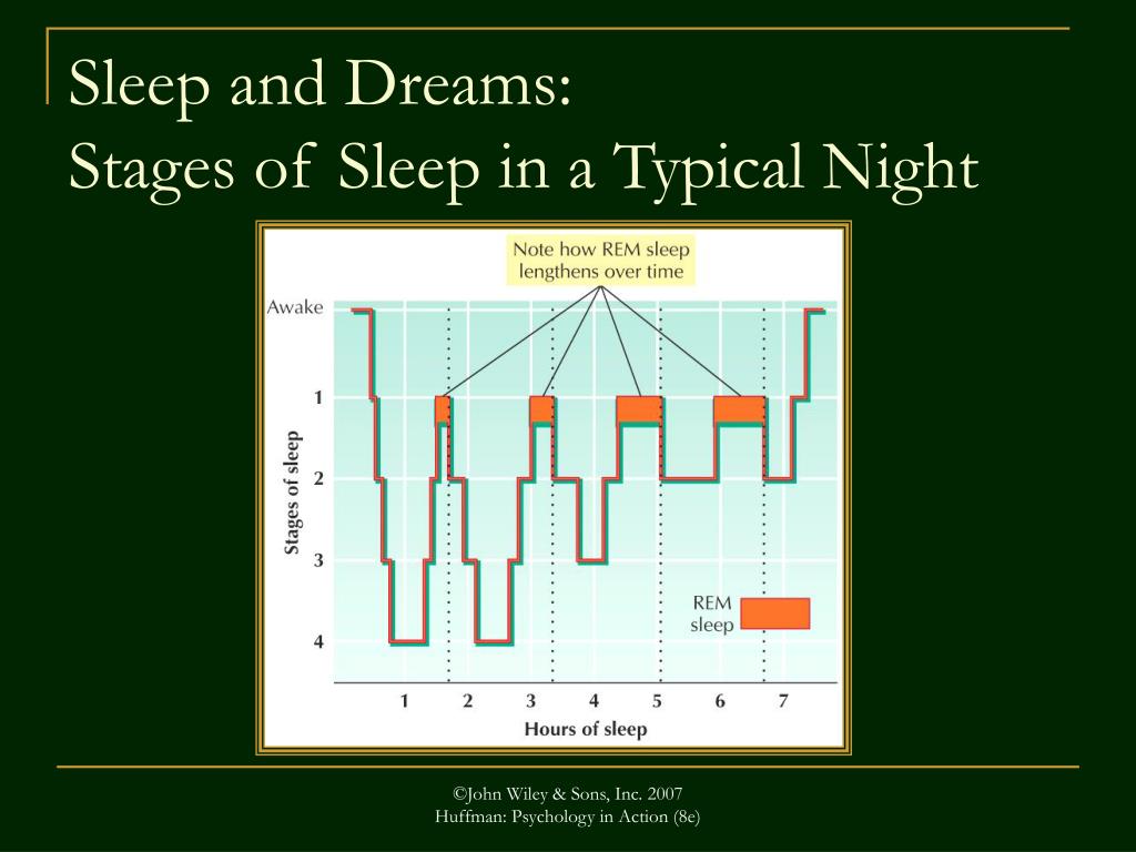 PPT - Two notions of consciousness PowerPoint Presentation, free