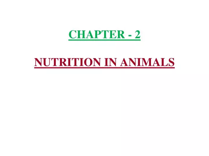 PPT CHAPTER 2 NUTRITION IN ANIMALS PowerPoint Presentation, free