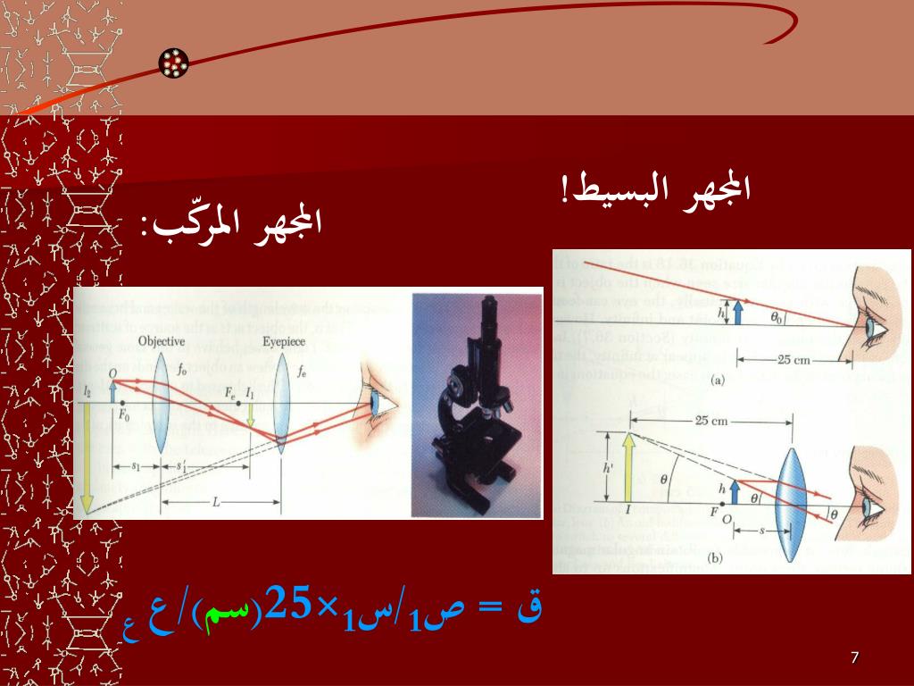 PPT PowerPoint 