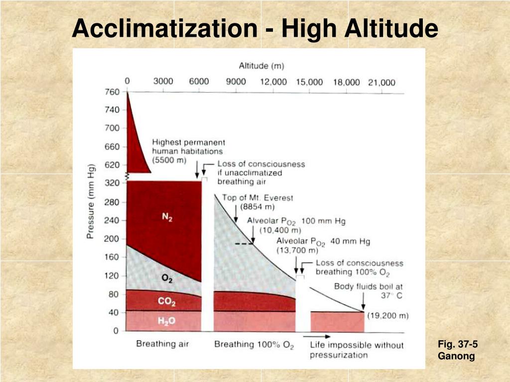 high altitude acclimatization ppt High-altitude-physiology.