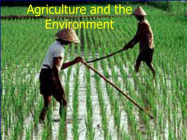agriculture and the environment n.
