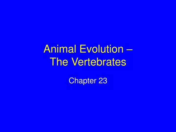 animal evolution the vertebrates n.