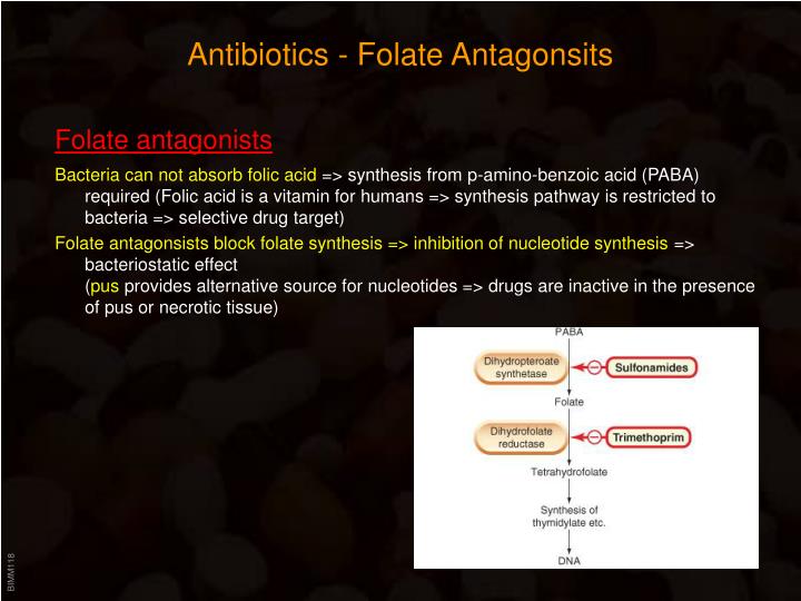 long how to zithromax absorb PPT ID Chemotherapeutic PowerPoint Presentation Agents long how to zithromax absorb PPT ID Chemotherapeutic PowerPoint Presentation Agents
