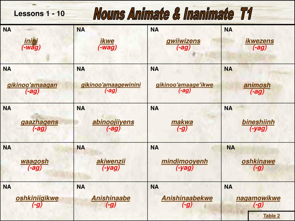 PPT - Nouns Animate & Inanimate PowerPoint Presentation, free download -  ID:1047532